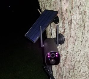 Photo of a solar security camera attached to a tree.